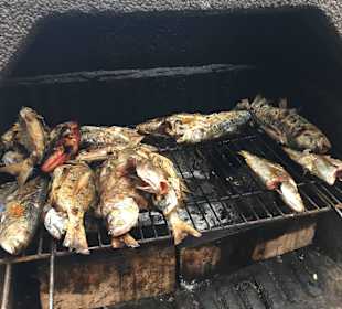 4 Euro pro Fisch bei Anne