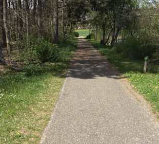 Rundweg am Beutenlay