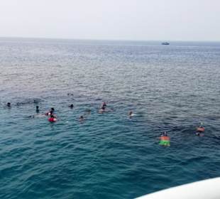 Ausflüge Rotes Meer Marsa Alam-Morgenland Reisen 