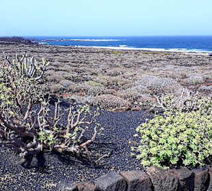 Inselrundfahrt AIDA Tagestour