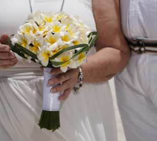 Der Brautstrauss - Fragipanis