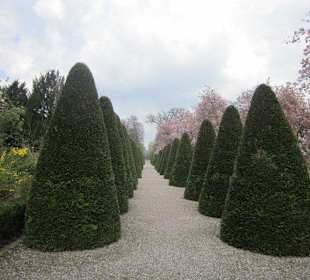 Schlosspark Schwetzingen