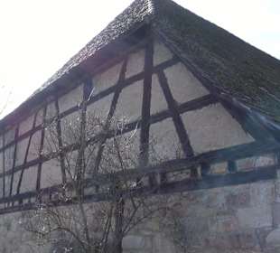 Riedkelter Hirschau