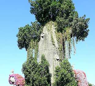 Miracle Garden