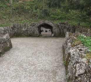 Wildschweingruppe