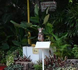 Golden Mount und Wat Saket