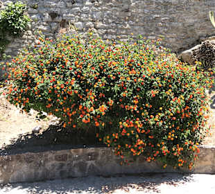 Stadtrundfahrt Medina Sidonia