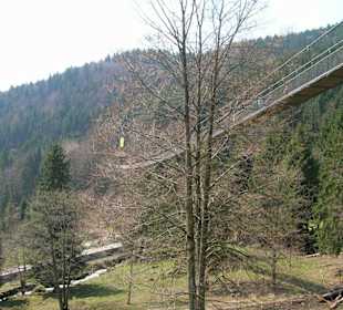 Steinwasenpark-Hängebrücke