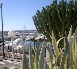 Yachthafen von Estepona