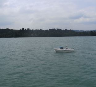 Forggensee Rundfahrt