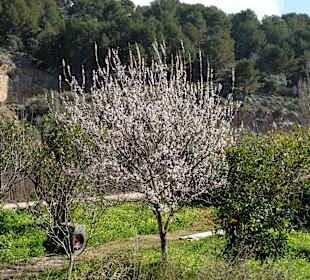 Wandern Puerto de Soller