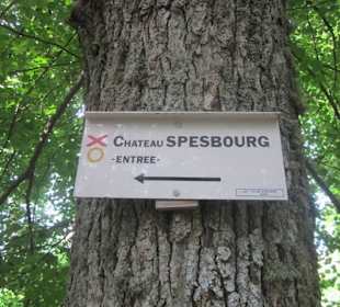 Bei der Burgruine Spesburg