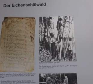 Heimatmuseum im Herrenhaus