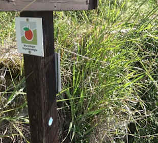 Früchtetrauf - Wurmlinger Kapellenwegle