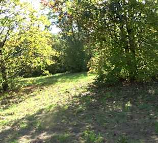 Baumlehrpfad Zollertal