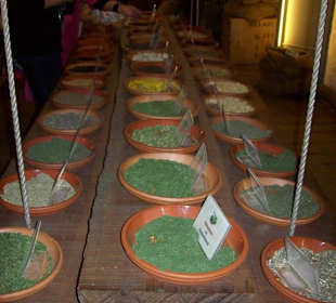 Viele Gewürze zum Anfassen