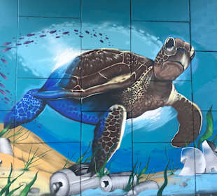 Stadtrundgang Akumal