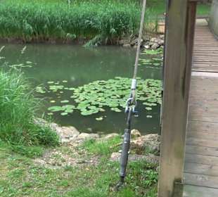 Fischlehrpfad Neu-Ulm