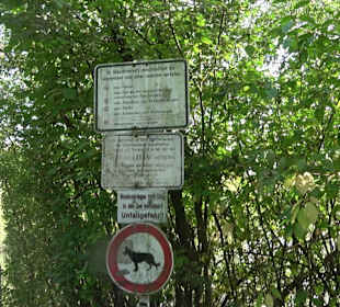 Wanderung zur Burgruine Liebenau