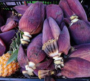 Rundgang über den Wochenmarkt von Saint-Paul