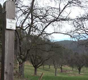 Unterjesinger Wengertwegle