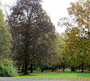 Impressionen aus dem herbstlichen Schlosspark