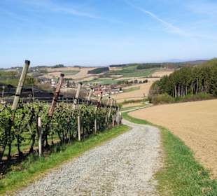 Blick zurück nach Kuknirn