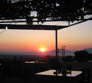 The Old Pyli Taverna - Georgos, the fisherman 