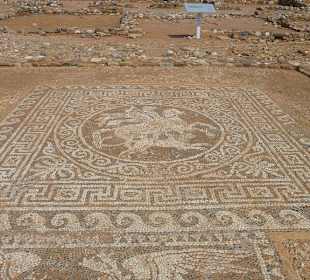 Mosaikboden Im antiken Olynthos