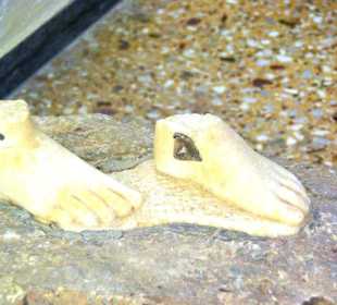 11. Tag Santorin Archäologisches Museum