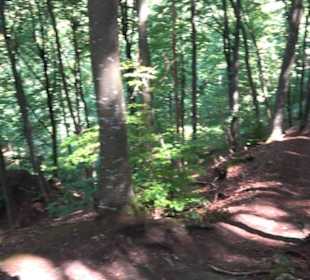 Premiumwanderweg "hochgesprudelt"