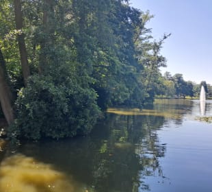  Molenvijverpark in Genk, Belgien 