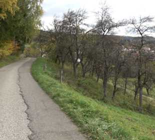 Geschichtslehrpfad Streichen