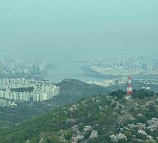 Seoul Tower
