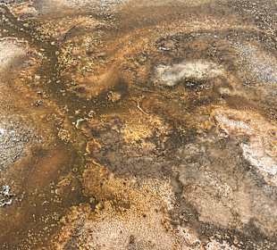 Yellowstone Nationalpark