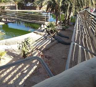 Djerba Explore Parc  Krokodilfarm