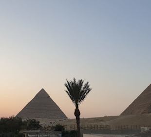 Erlebnis Ägypten VIP Ausflüge