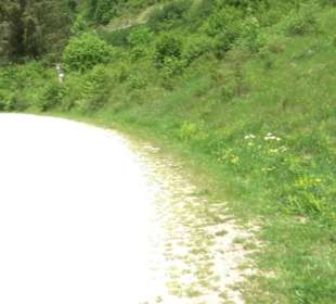 Premiumwanderweg "hochgehackert"