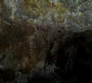 Coral Caves Mangapwani