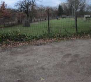 An der Lochmühle Lingenfeld