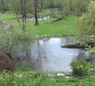 Südamaerika Bereich - Sitatunga