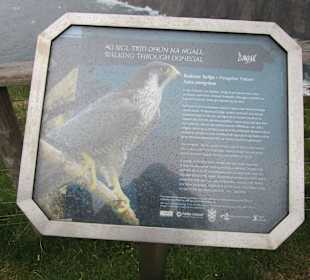 Slieve League Klippen