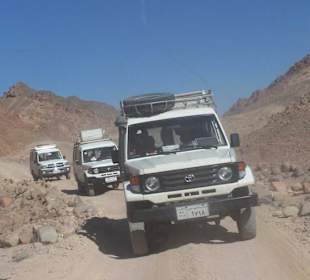 Jeep Safari