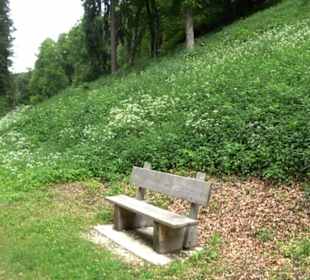 Burg Tiefental Aichstetten