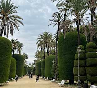 Stadtrundgang Conil de la Frontera