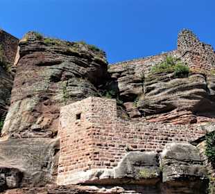 Saverne/Zabern - Burgruine Hohbarr (12. Jh.)