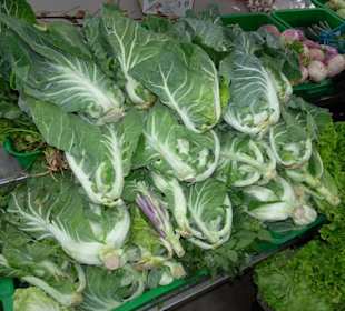Rundgang durch den oberen Teil der Markthalle