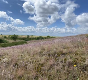 Nationalpark-Haus Wittbulten 