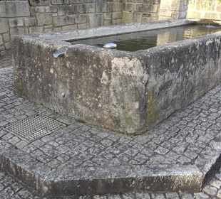 Brunnen Altenriet