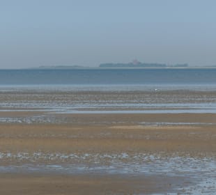 Wattenmeer-Wanderung an der Nordsee bei Cuxhaven